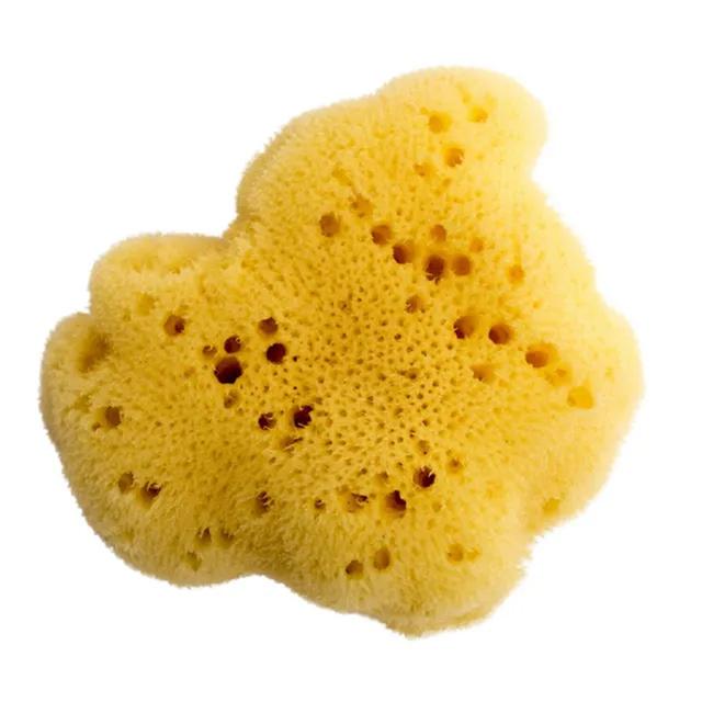 Bellini - Natural Sea Sponge Fine Silk - No10