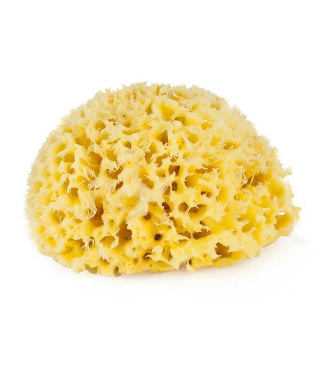 Bellini - Natural Sea Sponge - Yellow - No12