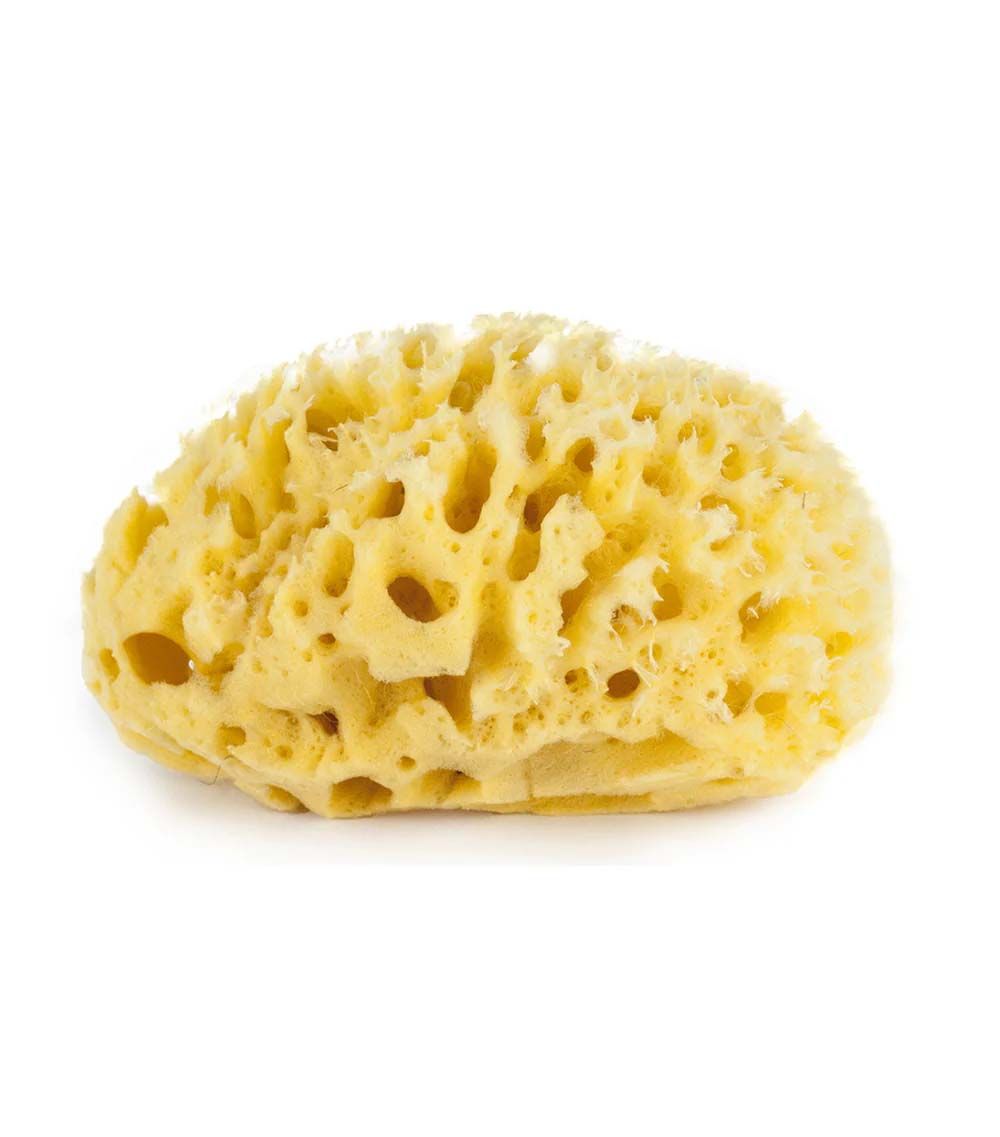 Bellini - Natural Sea Sponge - Yellow - No10